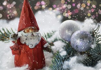 Holiday Shopping for Card Players - Gifts for Card Players