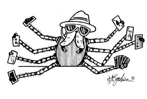 spider holding 13 cards