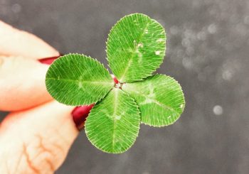 Lucky Charm - Gifts for Card Players
