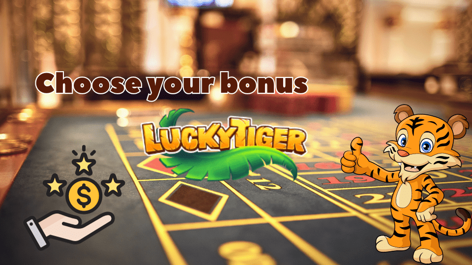 Lucky Tiger Casino – Important Details to Choosing Casino Bonus