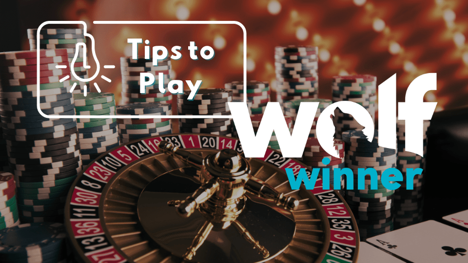 Tips for Newcomers Playing Wolf Winner Casino Games
