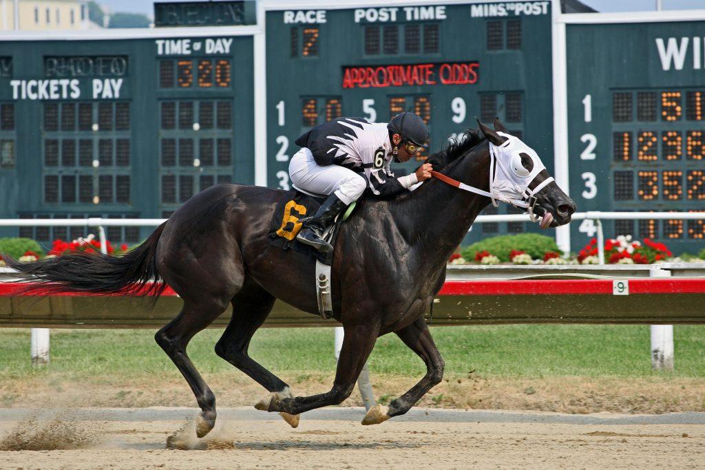 2024 Breeders' Cup Classic 4 Potential Dark Horses for a Big Upset